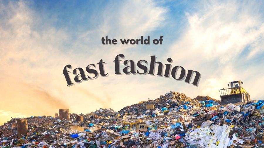 How is fast fashion impacting the environment? 