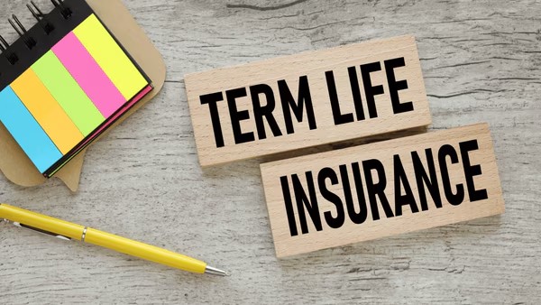 Why Self-Employed Professionals Should Consider Term Insurance Early